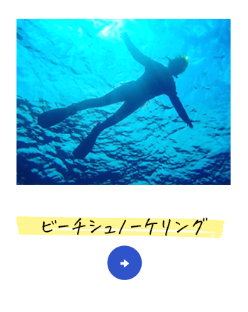 bnrmany03