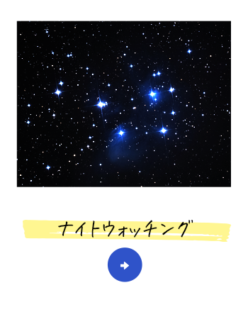 bnrmany04