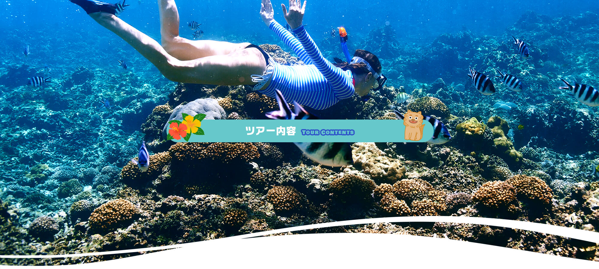 ツアー内容